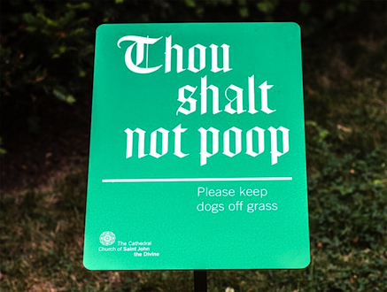 Thou_shalt_not_poop