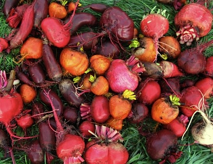 assorted_beets