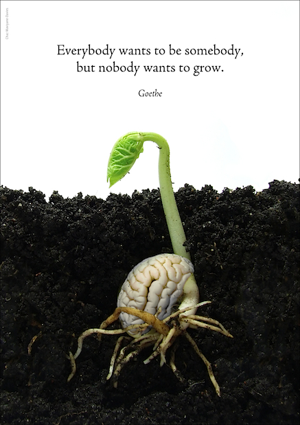 Growth_Goethe
