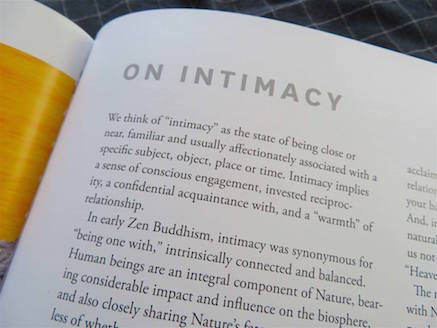 On_Intimacy